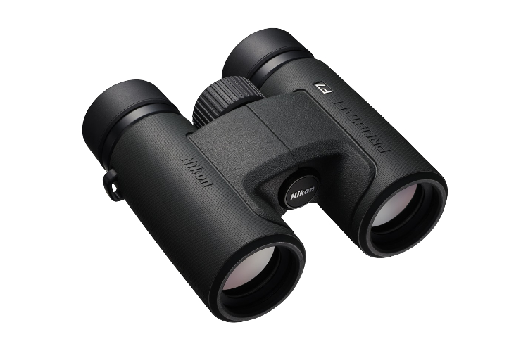 aifotoweb's tweet photo. I binocoli Nikon Prostaff, P7 e P3, sono perfetti per il birdwatching e l’osservazione naturalistica in generale.  

https://t.co/enwVepVJCX

#AIFoto #Nikon #Prostaff https://t.co/CBwUdChMAE