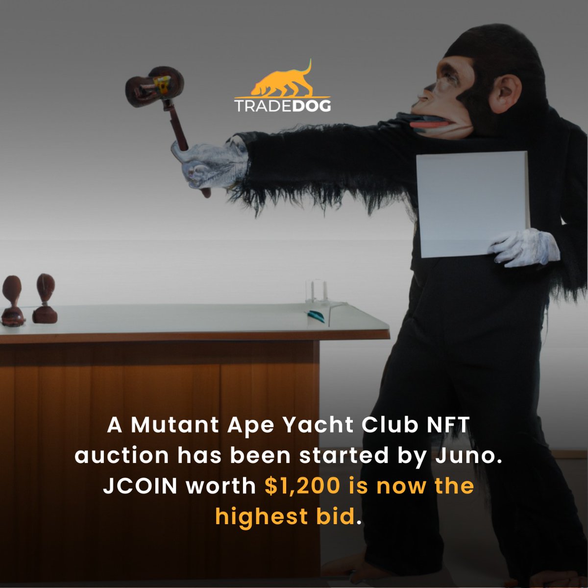 TradedogCrypto's tweet photo. Juno, a banking app for crypto users, has launched an auction involving Mutant Ape Yacht Club (MAYC) NFT. The highest bid so far is $1,200 in JCOIN.
#maycnft #nft #nftcommunity #crypto #cryptocurrency #nftmarketplace https://t.co/Y7AF8SzMWF