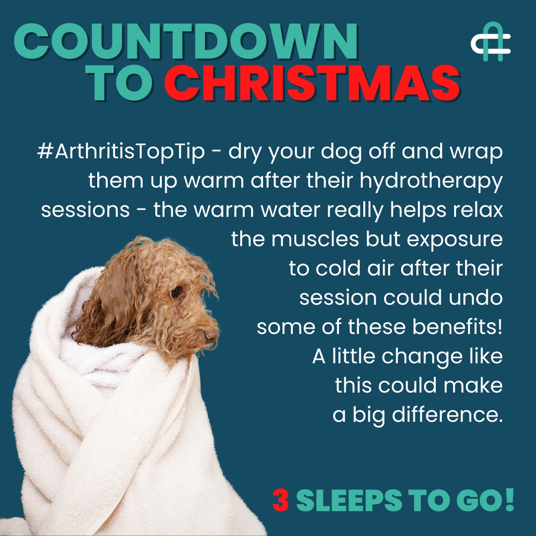 COUNTDOWN TO CHRISTMAS!!

3 sleeps to go!

#YourDogMoreYears #seniordogsuk #dogloversuk #caninearthritis #CAMDogs #dogswitharthritis #veterinarylife #ArthritisTopTip #dogtrainer