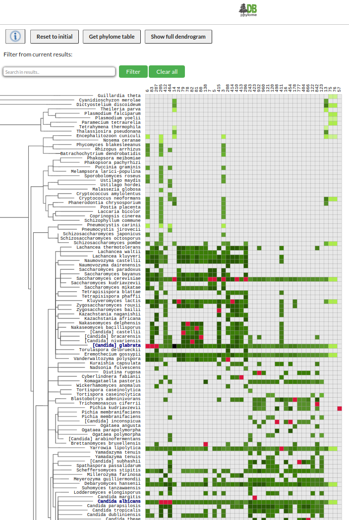 phylomedb's tweet photo. 📢 New Feature in  @phylomedb !

 PhyloExplorer allows you to better decide which phylome suits your need by selecting a set of species that the phylome must contain, and indicating what other species are in each phylome and how well they are represented
https://t.co/ZczKknyC1Q https://t.co/DMPZHJoXef