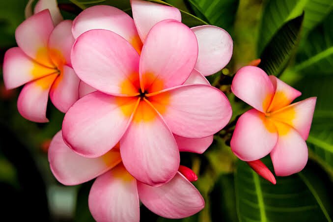 Johnsonmake11's tweet image. 