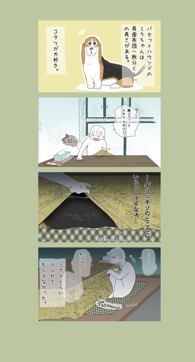 お天気の時はコタツよりもおひさまの当たる窓際がお好み(*'ω`*) 