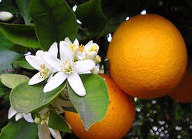 Johnsonmake11's tweet image. 