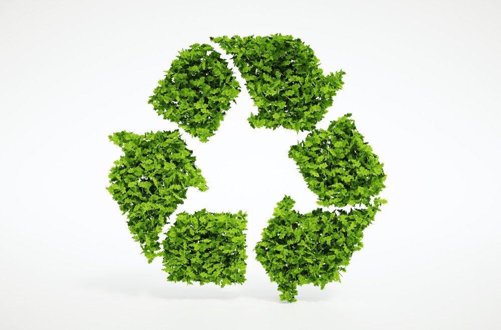 WWFTrieste's tweet photo. Calendario dell'avvento green💚
Giorno 21:
Impara a reciclare, metti ogni imballaggio nel contenitore giusto! 
Per un giorno impegnati a leggere le indicazioni di riciclo su tutte le confezioni delle cose che mangi, come biscotti, latte, yogurt... https://t.co/XczELL3usC