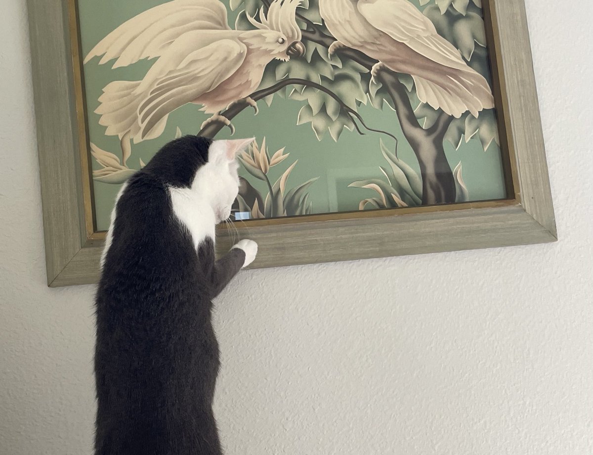 Do you like to make pictures crooked? I do!😹