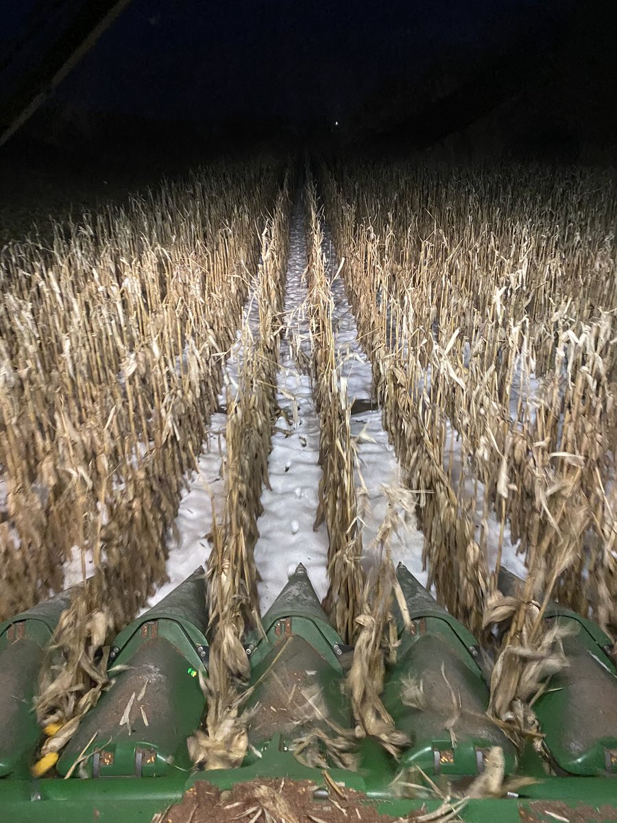 With only one field left to harvest and the forecast looking the way it does, the wait for a good freeze is over. Time to finish up.