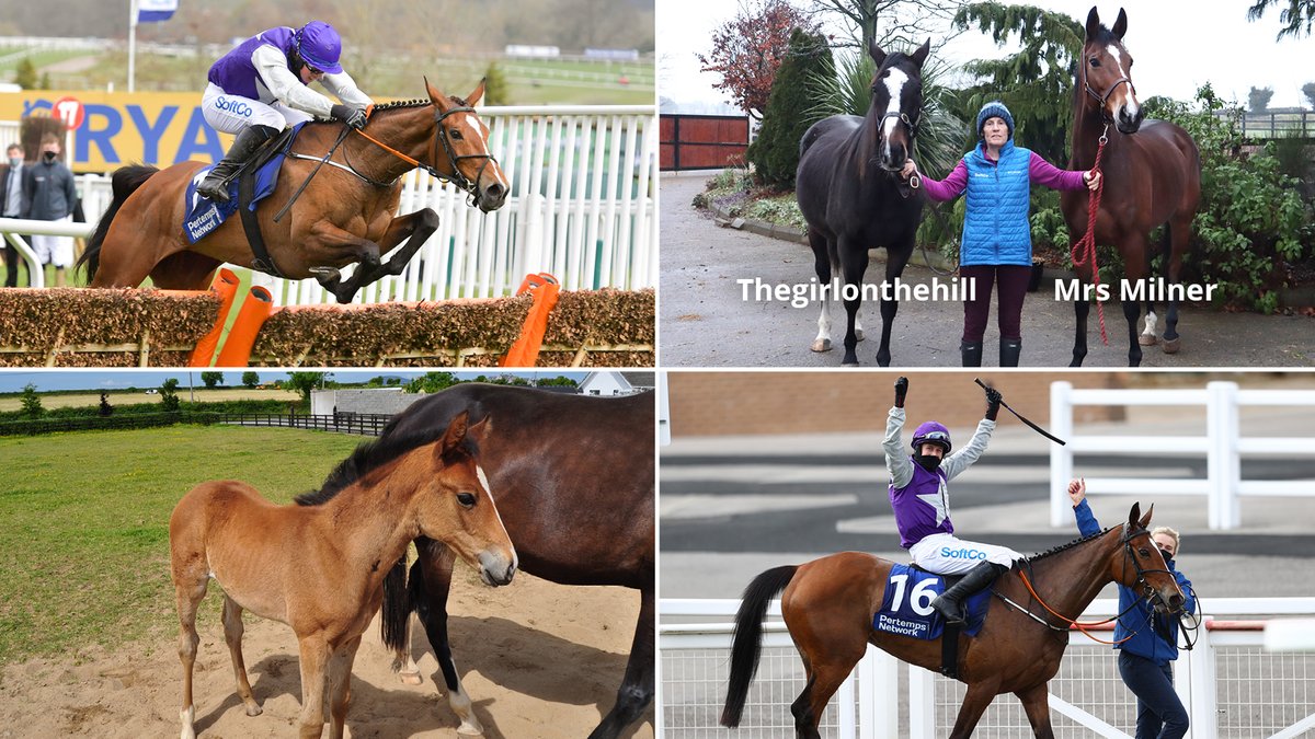 SoftCo (@softcogroup) on Twitter photo SoftCo's very own <a href="/CheltenhamRaces/">CheltenhamRacecourse</a> winner, Mrs Milner, has regrettably retired from racing due to injury. She was a wonderful horse and provided #teamsoftco with amazing memories.
hubs.ly/Q01wqtVS0 SoftCo's very own <a href="/CheltenhamRaces/">CheltenhamRacecourse</a> winner, Mrs Milner, has regrettably retired from racing due to injury. She was a wonderful horse and provided #teamsoftco with amazing memories.
hubs.ly/Q01wqtVS0