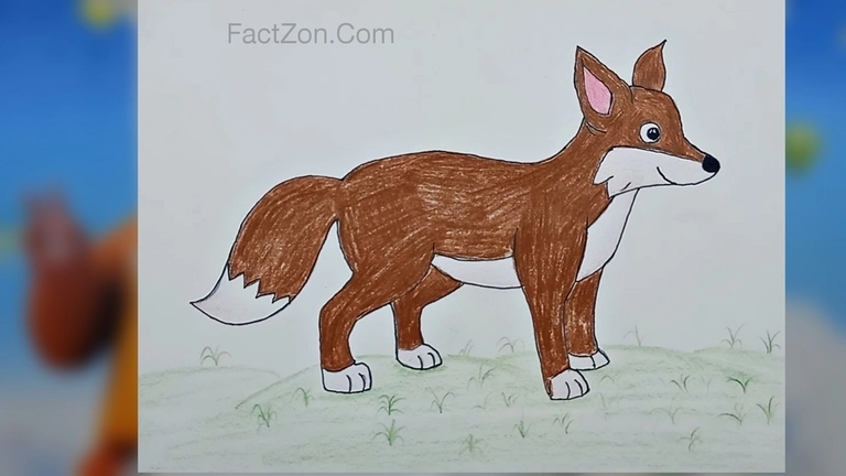 Easy How to Draw a Fox Face Tutorial and Fox Face Coloring Page | Fox face,  Drawing tutorial face, Drawings