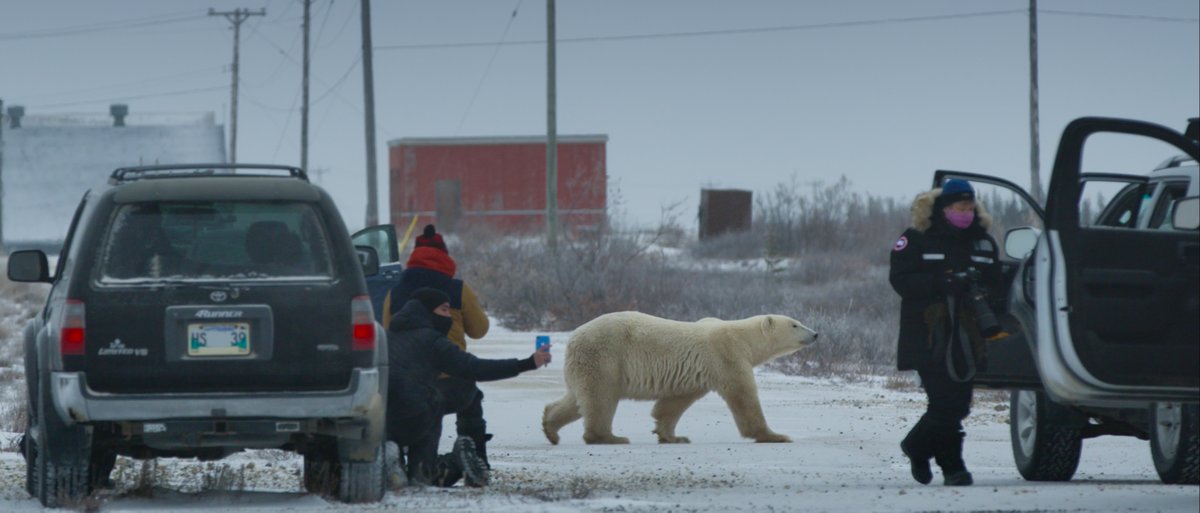 Congratulations!!! <a href="/POVmagazine/">POV Magazine</a> "Canadians Jack Weisman and Gabriela Osio Vanden advanced in the Oscar race for their short Nuisance Bear. The film also won the Critics Choice Award for Best Short Doc earlier this month."