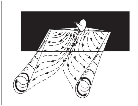 AeroWomen's tweet image. Flow visualisation of vortex ring instability, Widnall Instability, named after Sheila Widnall first analysed &amp;amp; published it 50 years ago. Also published in the Album of Fluid Motion.
@royalsociety paper:  royalsocietypublishing.org/doi/10.1098/rs…. @FAANews wake turbulence: faa.gov/air_traffic/pu…