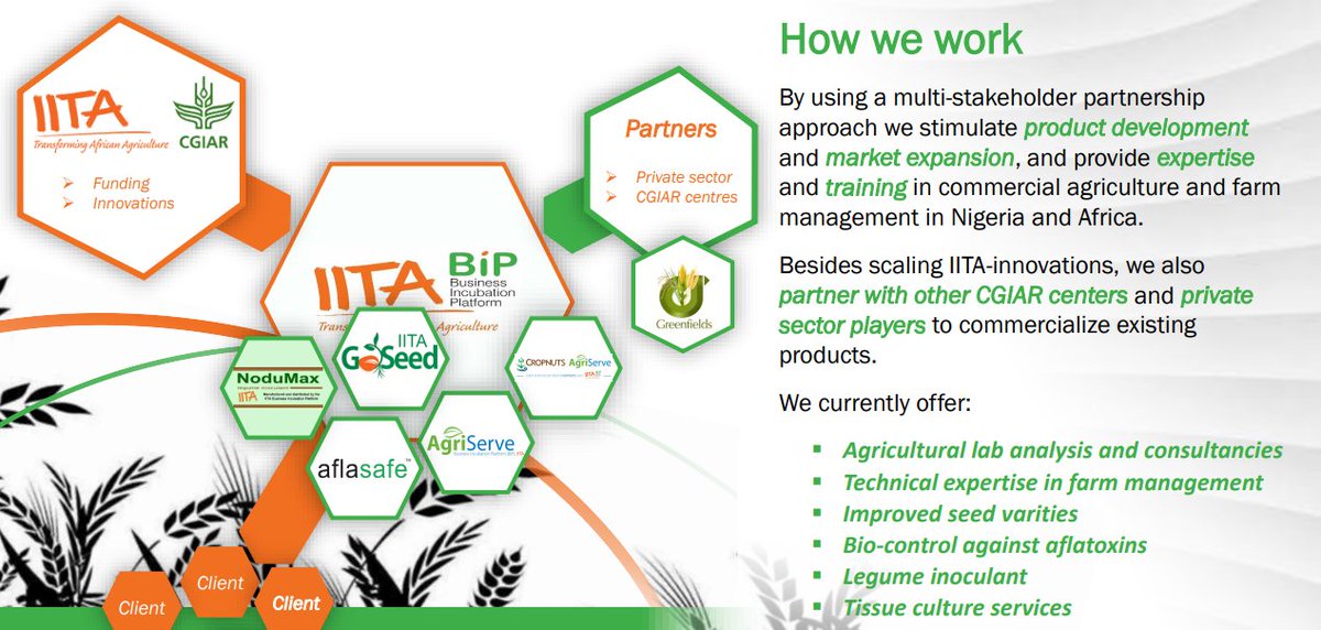 We have been getting questions such as: How does IITA-BIP operate? What #services do you offer? How can we #partner with IITA-BIP?

This answer your questions and for more information or enquiry, kindly visit iitabip.com