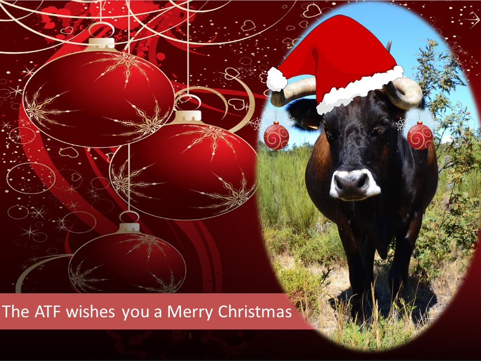 The ATF Team wishes you a Merry #Christmas 🎄
We will be back in 2⃣0⃣2⃣3⃣ for more discussions ➡️ #Sustainable #Livestock Systems 🐄🐐🐔🐴🐷🐑🦋🌱🌳🌻🌍
In the meantime, you can still watch the videos of the 1⃣2⃣th ATF seminar 🤓➡️ tinyurl.com/yc8deb62