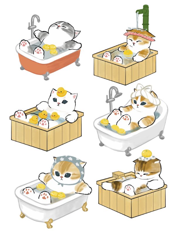 cat no humans white background bathtub towel on head bath food  illustration images