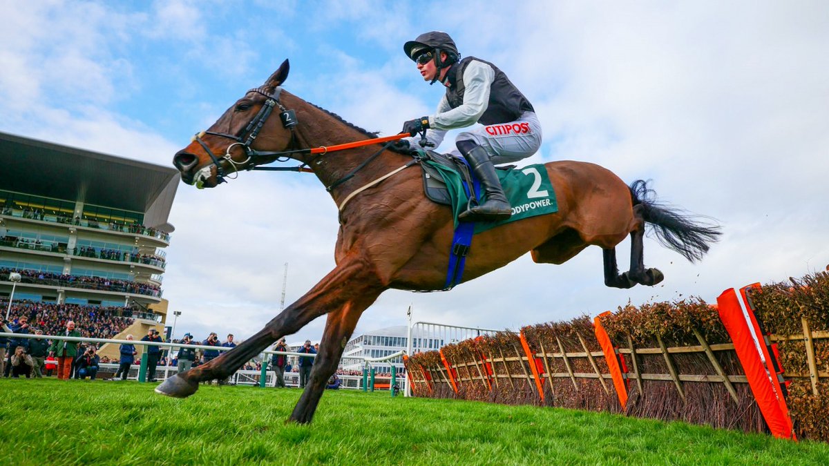 Racing Post on Twitter: 