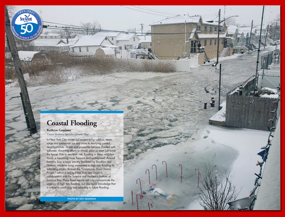 NYSG, <a href="/SRIatJB/">SRIatJB</a> offer FloodWatch, srijb.org/jbfloodwatch, and a visual guide to connect NYC’s outer boroughs w/ flood remediation resources: bit.ly/nycfloodingsto… #SGResilience; <a href="/SeaGrant/">NOAA Sea Grant</a> #NYSGat50 nyseagrant.org/nysgat50; What Does NYSG Mean To You nyseagrant.org/whatdoesnysgme…