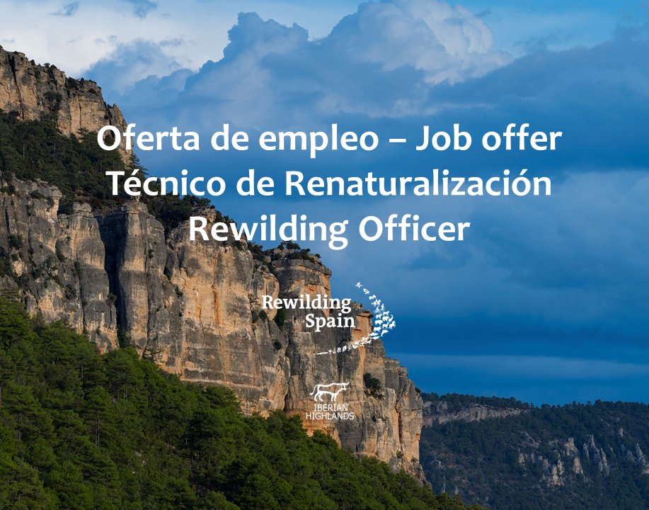 RewildingSpain_'s tweet photo. Las buenas oportunidades no se acaban con la lotería 😄
Puedes ser nuestro nuevo Técnico de Renaturalización/Rewilding Officer y trabajar en la renaturalización del Sistema Ibérico Sur.
¡Envía tu candidatura! 👇
https://t.co/FzGRvxJ1c9
#empleo #hiring #rewildingspain https://t.co/BANP7aSudK