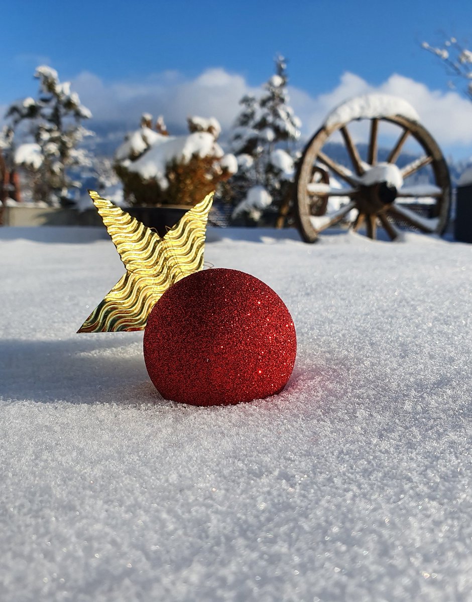 Aebischer_AG's tweet photo. Wir haben Betriebsferien bis zum 13. Januar 2023
Für Notfälle rufen Sie bitte folgende Nummer an: 079 381 21 44
Schöne Feiertage!
Durant les vacances, nos bureaux restent fermés jusqu’au 13 janvier 2023. 
Le numéro piquet: 079 381 21 44
Bonnes f��tes! https://t.co/txxRo7Swgi