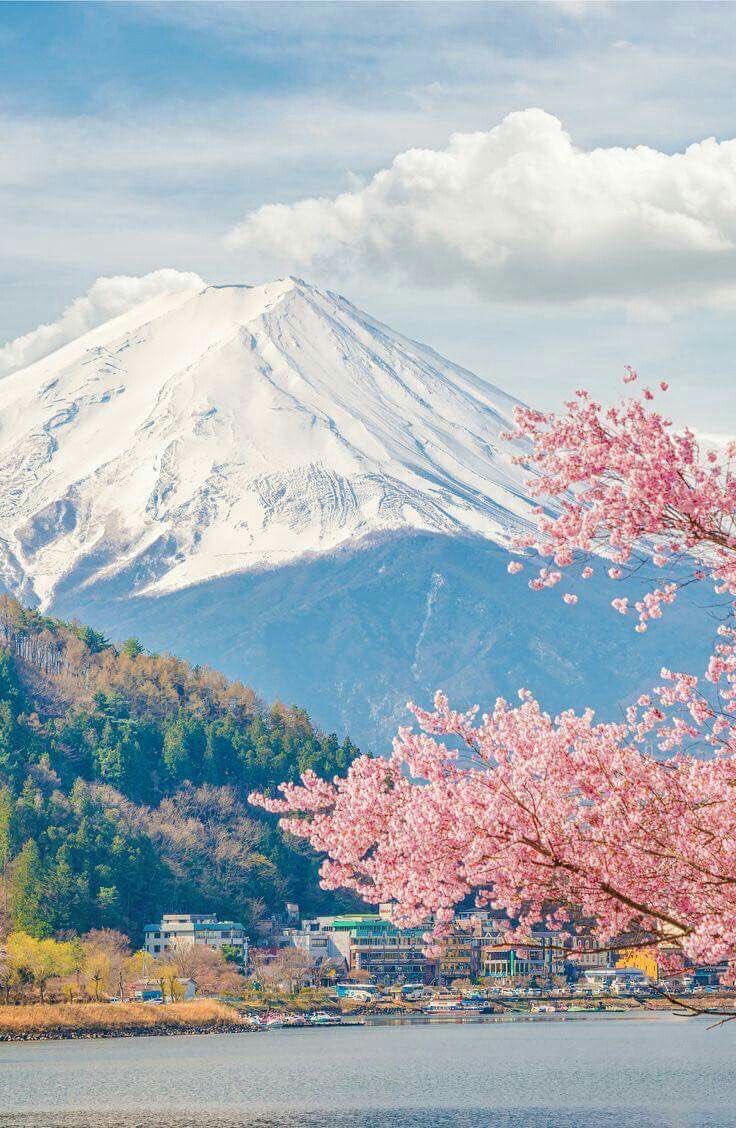 ZallesValentine's tweet photo. 2: Le Mont Fuji est le point culminant du Japon. Il est situé dans le centre du Japon, sur l’île principale d’Honshu. Il est un des symbole du Japon et a inspiré beaucoup de peintres, poètes et même des concepteurs de jeux vidéo. 🇯🇵 https://t.co/dloAH3U9eB