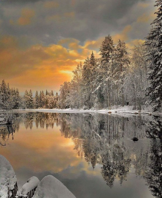 gil49504445's tweet photo. Good morning everyone...🧡 https://t.co/EqQUmHva6F