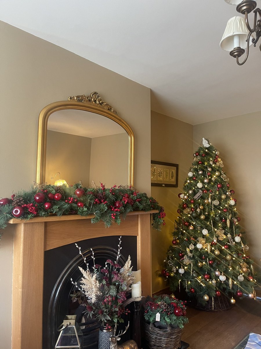 shannontunn's tweet photo. Arrived at mums for Christmas. But what does @williamhanson think of the tree? #pickytree https://t.co/8gqa2MXXfg