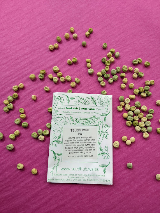 New Year, New Seeds! 🫘🌟 Wales Seed Hub shop is open, selling Welsh grown, ecologically produced, open pollinated seeds. We have been working with this cooperative of seed producers for four years now. Limited stocks! 🌱 openfoodnetwork.org.uk/hwb-hadau-cymr…