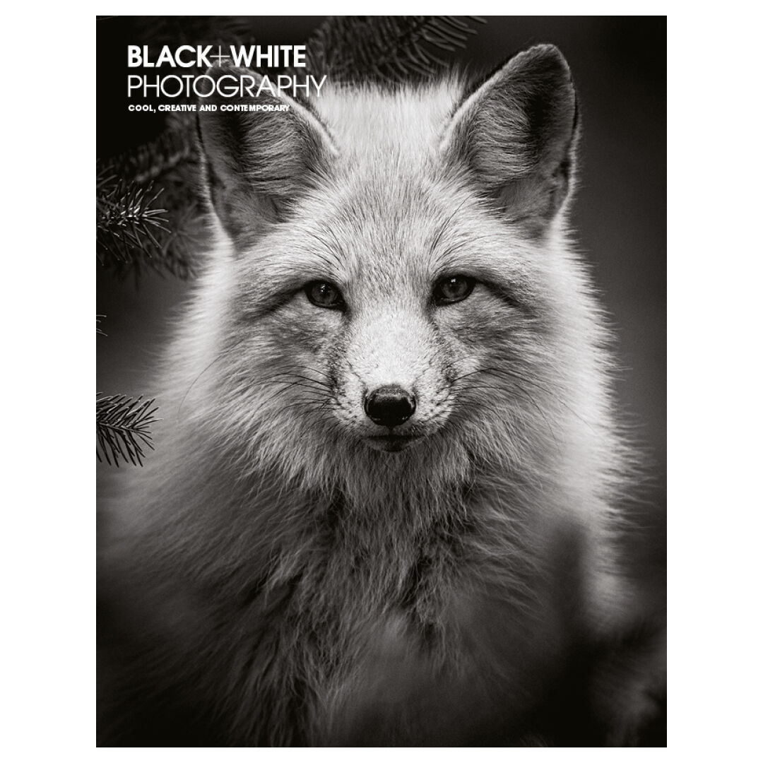 BWPMag's tweet image. B+W 273 is now on sale! Highlights include: @hunter_barnes’s gritty series from Sri Lanka; epic nature photography by Dave Brosha; Antigone Kourakou’s evocative images; and the wonderful work of Ilse Bing.
More info at blackandwhitephotographymag.co.uk
Cover @DaveBrosha