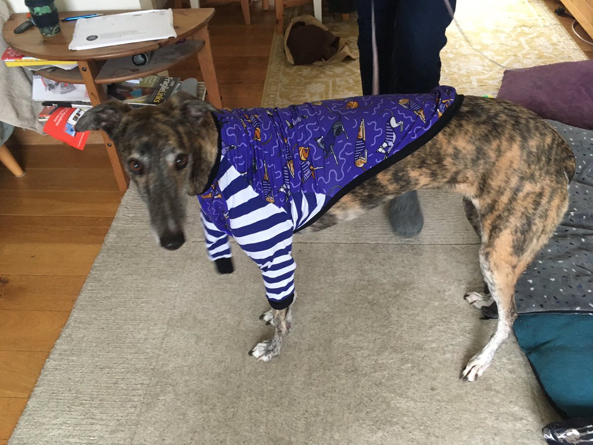 Nice measuring mum! Epic fail on my Christmas onesie 😂#houndtees I don’t think I’m a ‘medium’ greyhound. Are there any small friends out there?