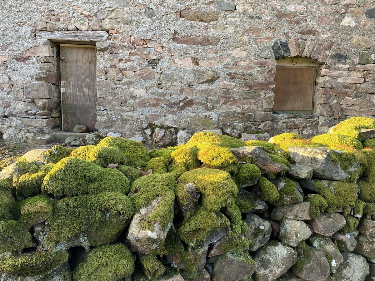 GatePostSign's tweet photo. @LakesStiles @LordOrk @Soapy_Wit_Tank @tismenic70 @tutty352 @ceadela @Yeti98_ @LansdellMum @WindowsLake @ProjectWHYUK @CharlesBewley2 @RuthRendell1 Good afternoon [from #menOtheMidnightSoil] Stiles; Not to forget that today is #bumBattenThursday the last opportunity to dump the miscellanea and curiosities that don’t fi elsewhere.  Clear your albums prior to the social event of the year ,,, #stilescup 

Fly
Tin
Moss
Frost§ https://t.co/wXudieeI8n