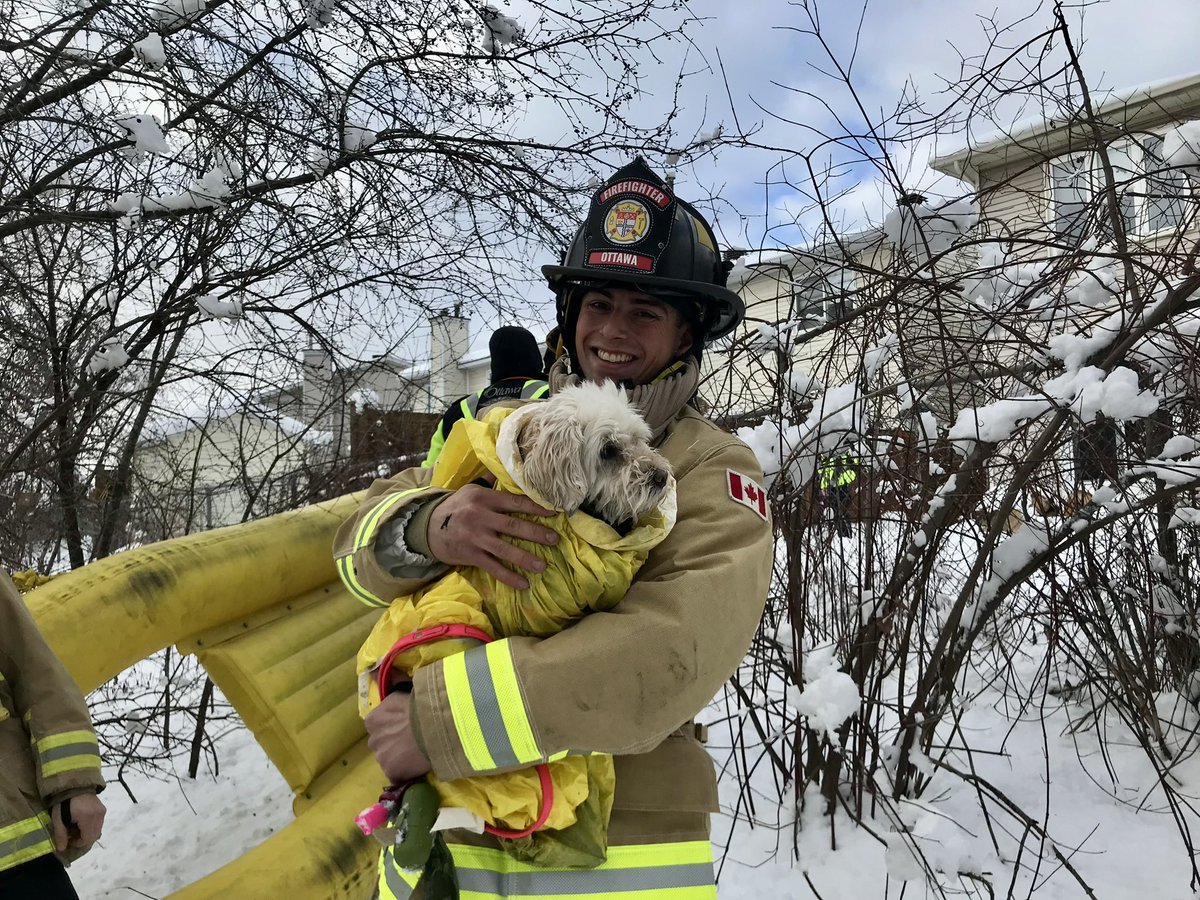 Ottawa Fire Services (@ottfire) on Twitter photo How’s that for a 1st shift as an <a href="/OttFire/">Ottawa Fire Services</a> Firefighter?👨🏻🚒
Rookie Firefighter Luca Paoloni responded to the Ice Rescue call around 13:41 where a dog was rescued, followed by the double rescue of two individuals in an apartment 🔥 just after 4am. #OttNews
#WelcomeToTheTeam 👏 How’s that for a 1st shift as an <a href="/OttFire/">Ottawa Fire Services</a> Firefighter?👨🏻🚒
Rookie Firefighter Luca Paoloni responded to the Ice Rescue call around 13:41 where a dog was rescued, followed by the double rescue of two individuals in an apartment 🔥 just after 4am. #OttNews
#WelcomeToTheTeam 👏