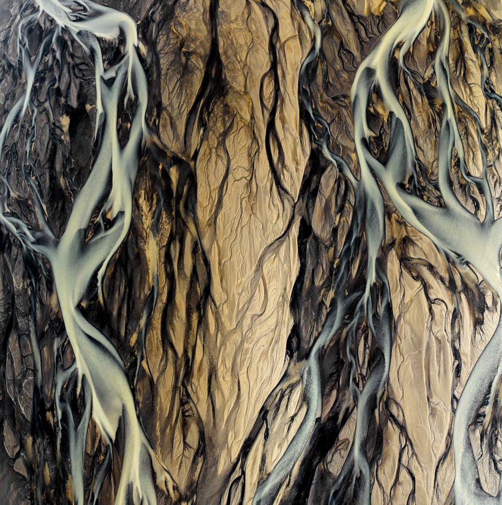 GM

Nature's Generative Art