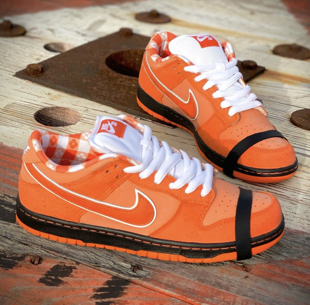 スケートボード Concepts Nike SB Dunk Low Orange Lobster Concepts x Nike SB Dunk Low 