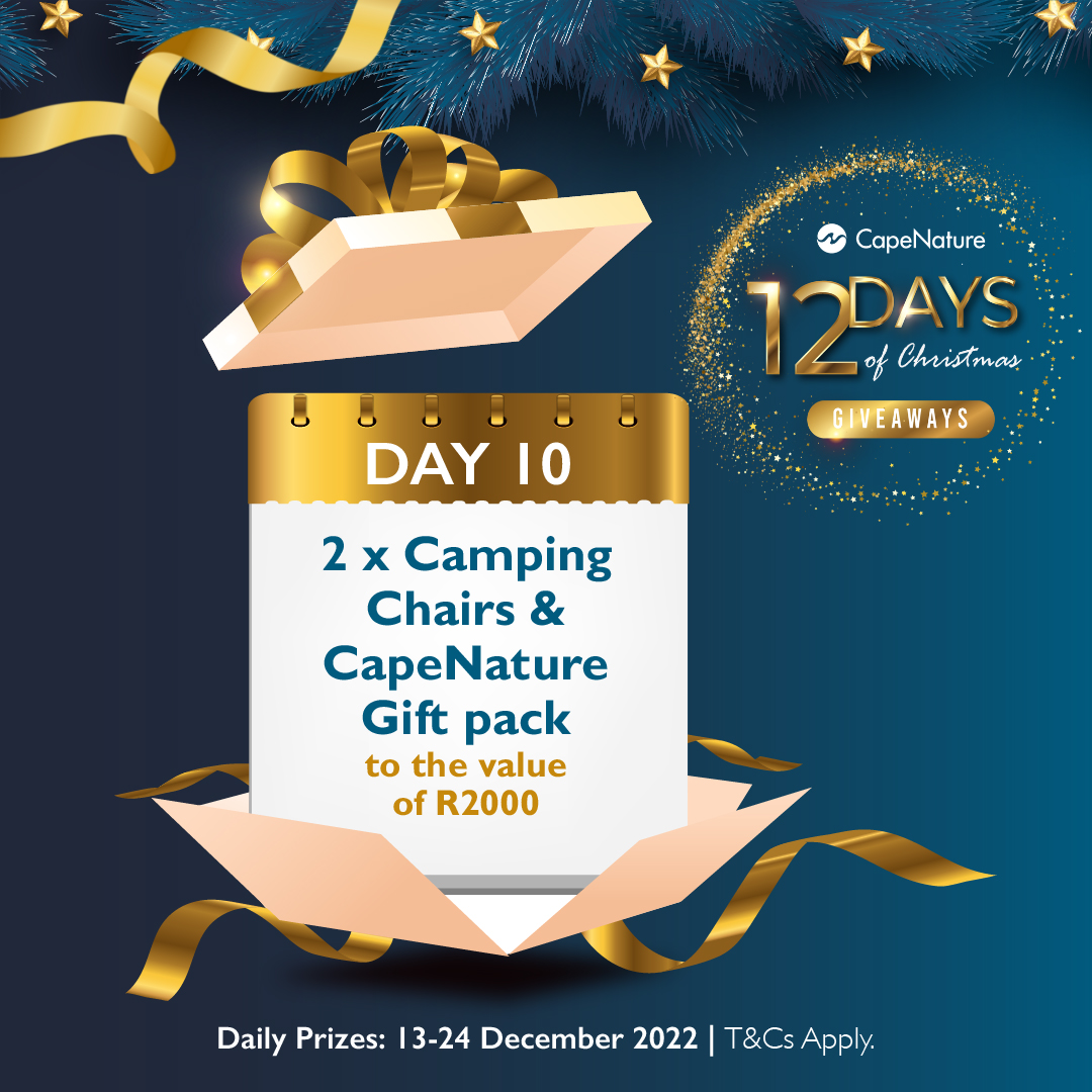 CapeNature1's tweet photo. DAY 10: WIN 2 Camping Chairs and a CapeNature Gift Pack to the Value of R2 000 

Follow these steps: 🎅 Like, Comment, &amp; Share 
🎅Follow CapeNature 🎅Subscribe to the CapeNature newsletter 

Winners will be randomly selected weekly. T&amp;Cs apply* 

#ChristmasWithCapeNature https://t.co/CElcoY40Cj