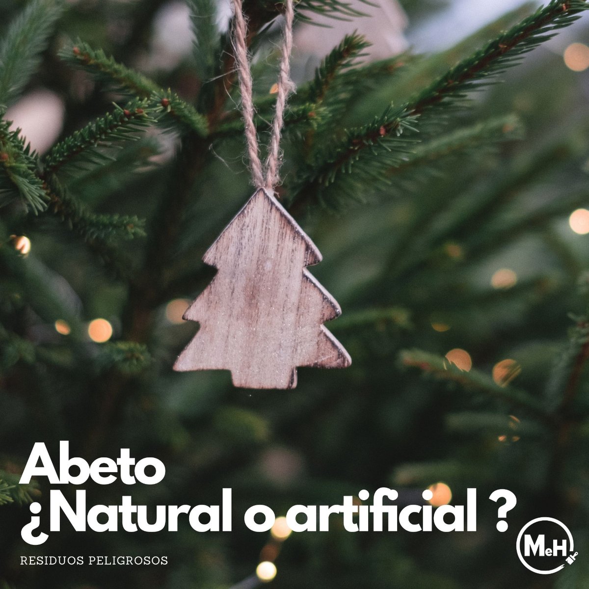 MorloPinturas's tweet photo. 🎄Árbol de Navidad: ¿natural o artificial? ¿Cuál es la opción más ecológica?🎅

https://t.co/LVo14F0sFR

#navidad #residuos #sostenible #morlo https://t.co/20e7gGCjtQ