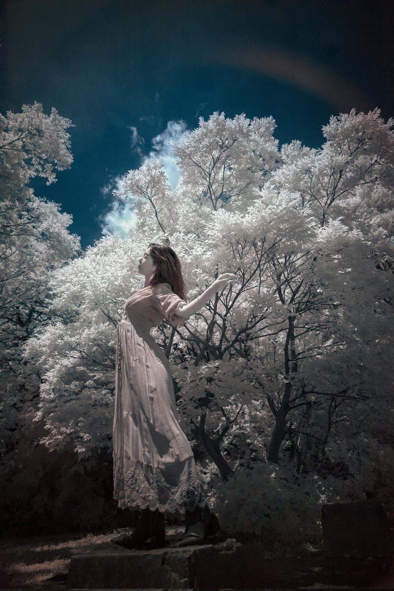 shashinbubutyo's tweet photo. This year's new initiatives.
#irphotography #irportrait
#onlyone展 #onlyone3
#leicam10p #superangulon21mmf34 https://t.co/aLp46wtvRy