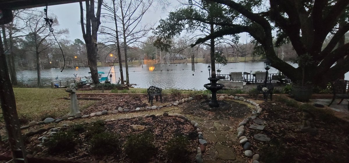PhilipNelson's tweet photo. Good morning from Louisiana!  #merrychristmas https://t.co/Nl2LMfk6QH