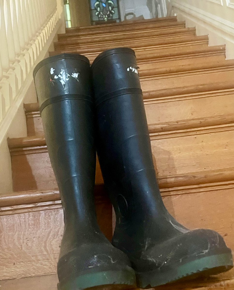 GentryTrotter's tweet photo. #GoodMorningTwitterWorld!  I’m hoping not to wear my ⛄️ snow boots. 45 states are being impacted by Old Man Winter. The Arctic air can take your life away. #BundleUP #DriveSafe #CheckOnNeighbors https://t.co/q3auQUoPN8