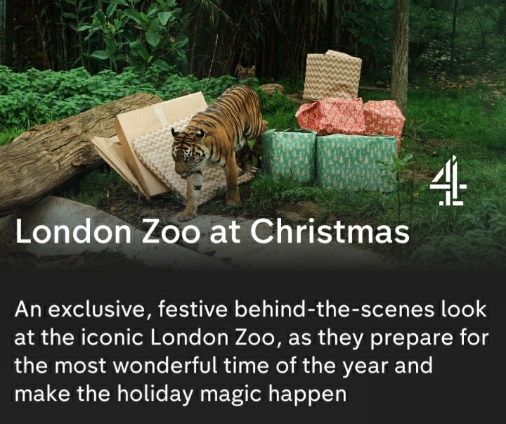 Christmas is nearly upon us and the London Zoo have been preparing for the festive period. Voice Over Artist Daniel Weyman narrates this episode, bringing a little Christmas magic to us all. Catch 'London Zoo At Christmas' at 8pm, Friday 23rd Dec on @channel4 #beheardvoices