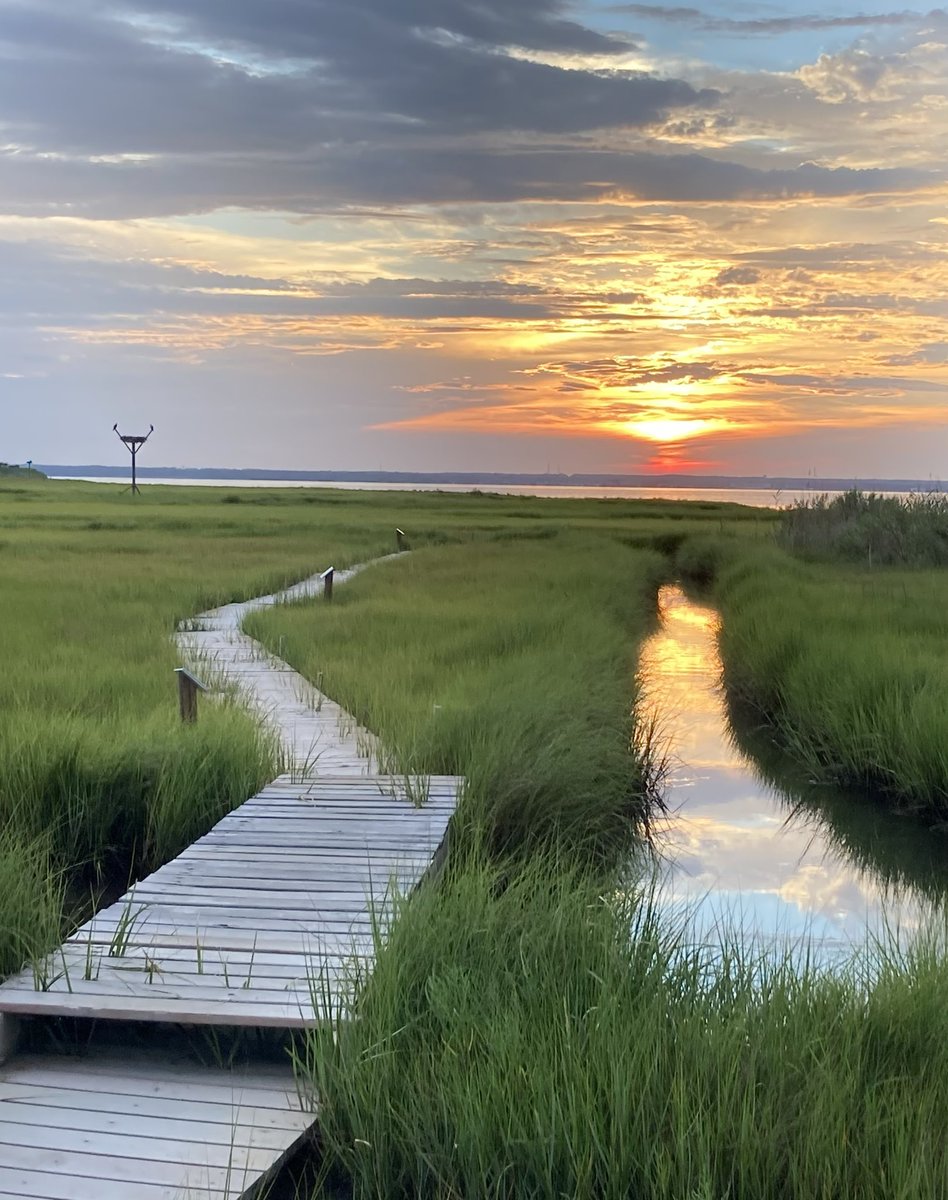 BTorg's tweet photo. @kristenkurtis Many thanks for honoring my late father, Dr Joe Torg, on  @wxpnfm Morning Show today. Deep gratitude. This means a lot to me and my siblings and especially my mother Barbara. Thank you! Here’s a photo of The Joe Torg Wetlands. Come visit some time! https://t.co/VXSAcMZfRV