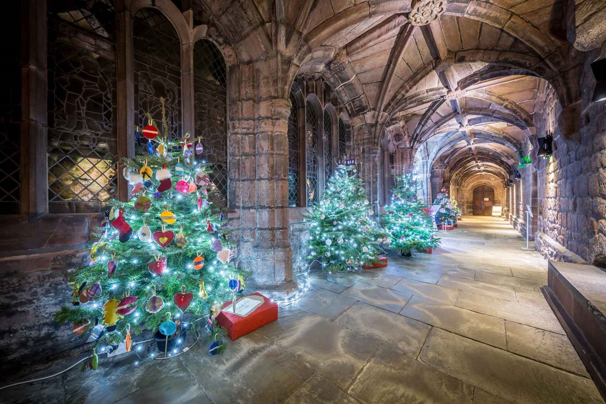 There is still lots going on along the #midcheshirerailway in the twilight zone that is 'twixmas'
In @ChesterCath  Christmas Tree festival is open until 8th Jan & @visitdelamere blow the cobwebs away with a brisk walk.
Take the train (check before you travel)
#midcheshirerailway