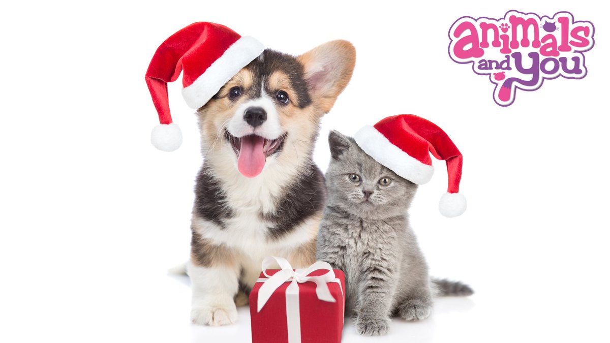 #MerryChristmasToAll we hope you have a magical day! 💖