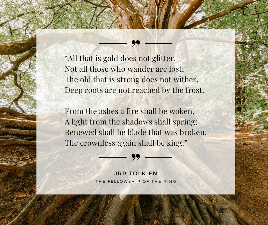 seedingourfutur's tweet photo. Wishing you peace and hope at Christmas and in the New Year. #SeedingOurFuture #Resilience
https://t.co/x0eHMhOlzx https://t.co/jq6WUpl1rN