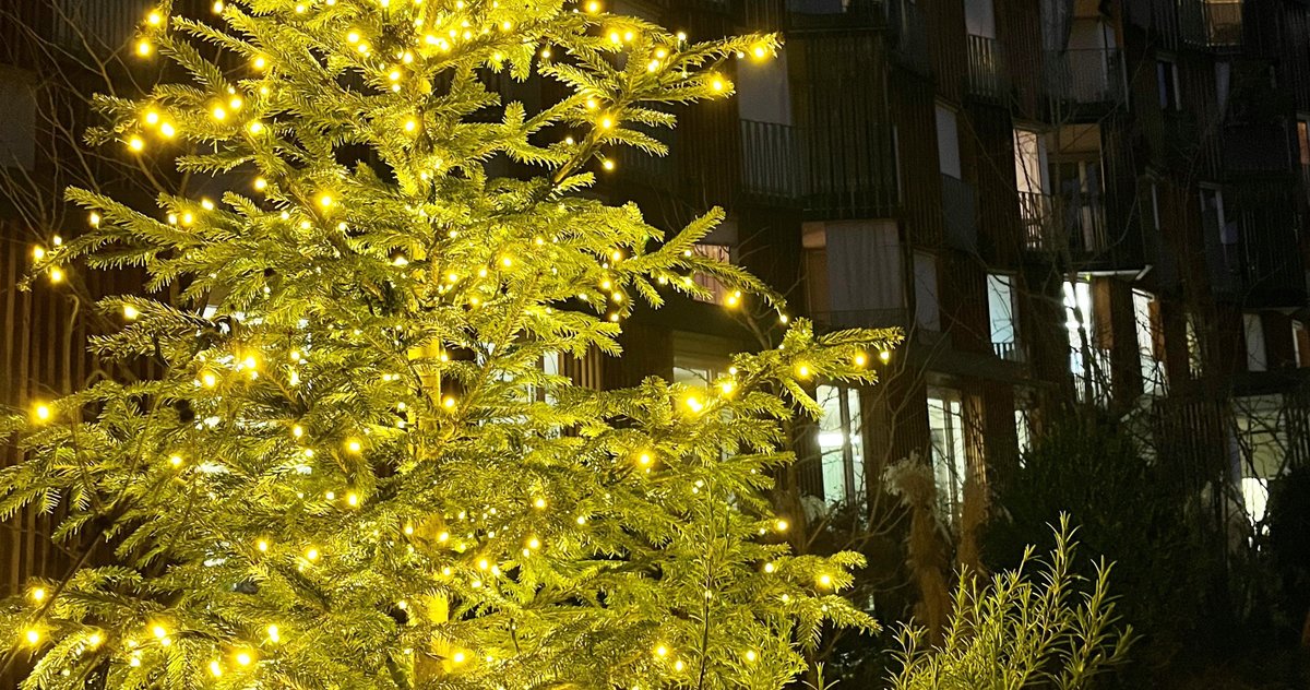 Auf Wiedersehen im neuen Jahr!
Über die Festtage bleibt die Geschäftsstelle der SAW geschlossen. Wir freuen uns, Sie im neuen Jahr wieder bei uns begrüssen zu dürfen und wünschen allen frohe Festtage!
Wenden Sie sich in dringenden Fällen an unser 24/7-Tel: wohnenab60.ch/stiftung/ueber…