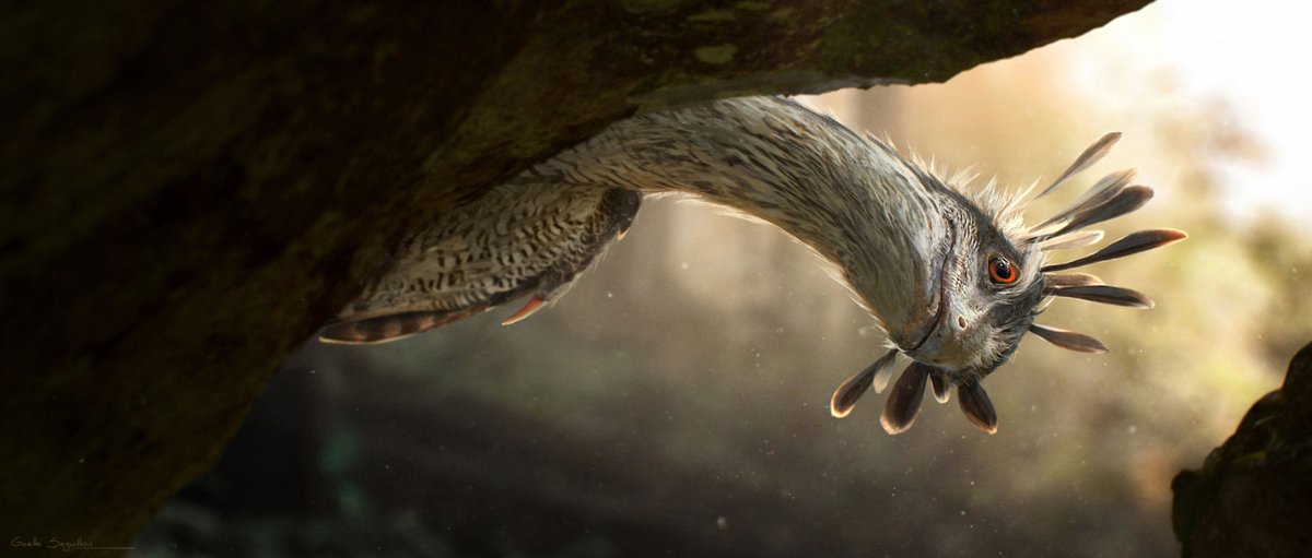 GaelleSeguillon's tweet image. Here is a curious Troodontid from #PrehistoricPlanet. Concept art for the ICE WORLDS episode.

High res : artstation.com/artwork/yJO94x