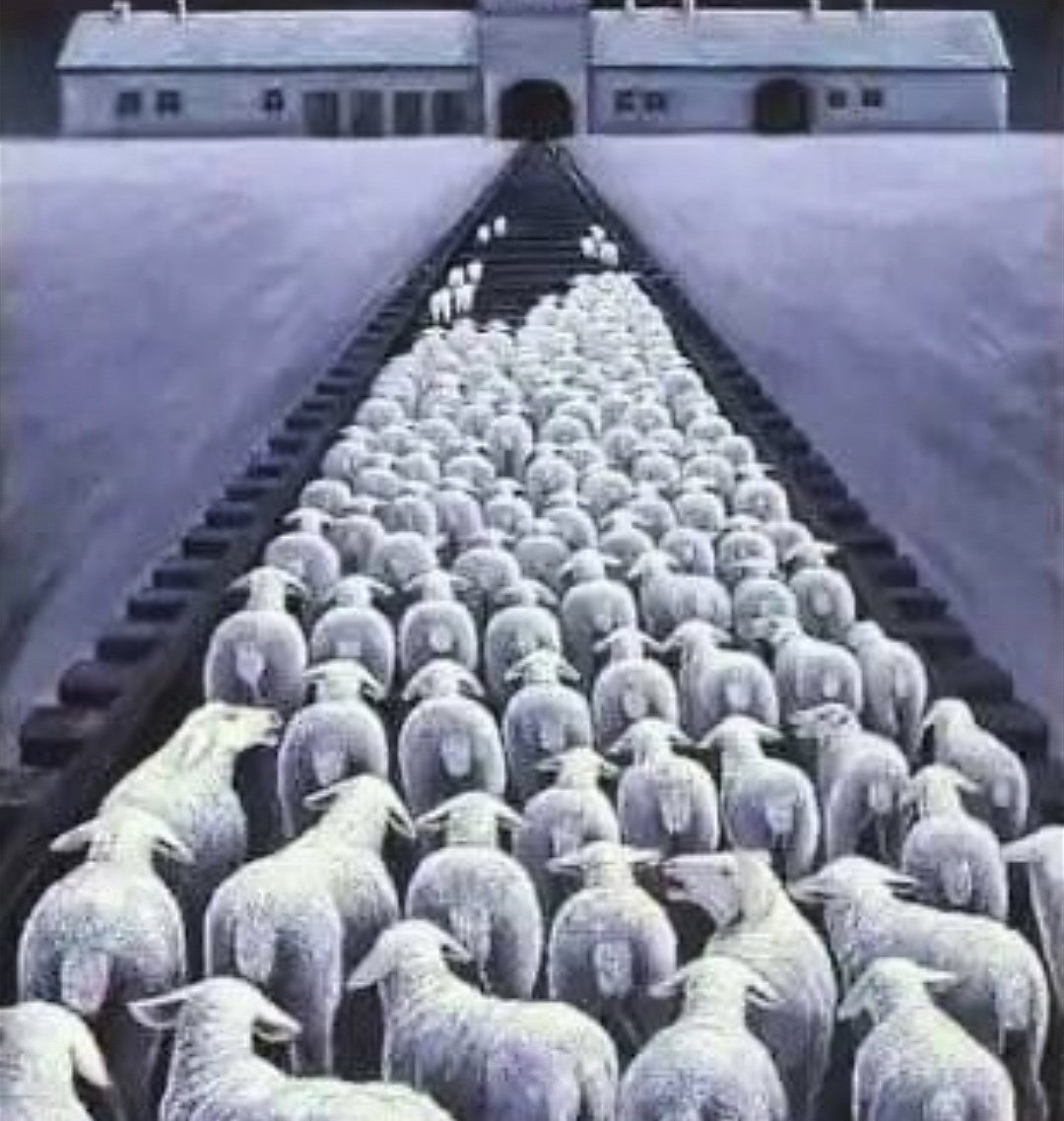 Sen ne yaptın Müslüman. Şeytan çocuklarını LGBTİQ yapıcam dedi.. Eyvallah dediniz.. Dininizi, inancınızı, İslamı, bütün değerlerinizi yok edicem dedi. Eyvallah dediniz. Pandemi yalanıyla sizlere dayattıkları her şeye, Aşı vs ire her şeye.. Eyvallah dediniz. Şeytana teslim oldunuz