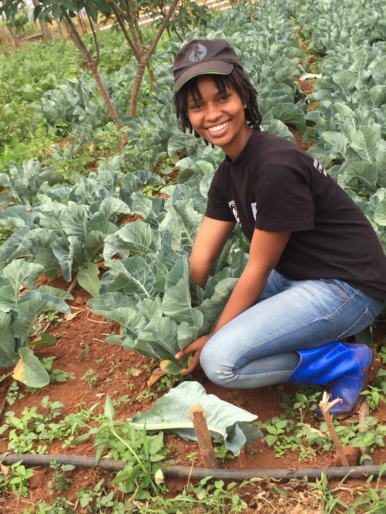 Is agriculture your first choice?
If yes, like and retweet!
#YouthinAg #WomeninAg