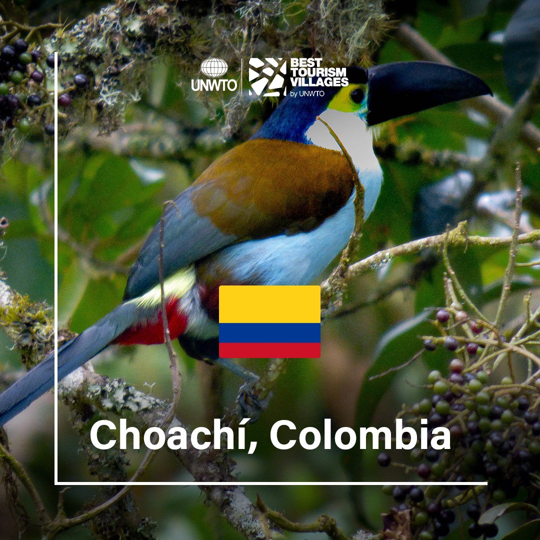 BTV_UNWTO's tweet photo. Our new #BestTourismVillage Choachí in Colombia has developed #tourism by valuing #natural, #cultural and #gastronomy by diversifying agriculture-based economy and including tourism services for livelihood @btv_UNWTO @unwto @AlcaldiaChoachi @colombiatravele https://t.co/NGF0r2CdlU