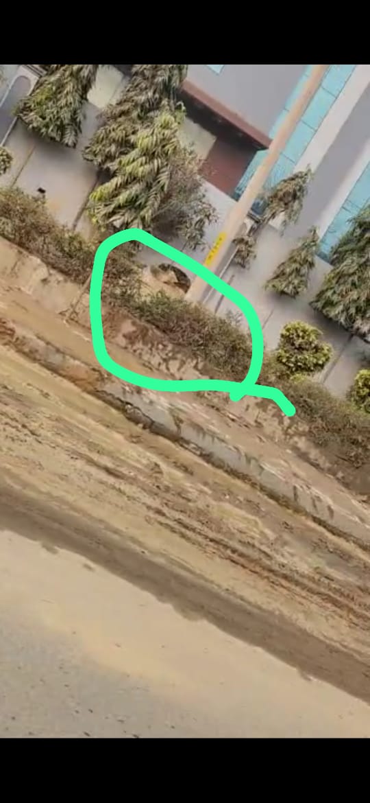 LordYamraaj's tweet photo. हरियाणा के #बढ़ी Hsiidc में उद्योगों द्वारा की जा रही #borewell जो HWRA के गाइडलाइन के विरुद्ध है, #overexploited area में नई बोरवेल अवैध है पर इस उद्योग द्वारा उद्योग कानून के विरुद्ध जाकर अवैध बोरवेल करवाई गई है @CGWB_CHQ @SonipatB @CPCB_OFFICIAL @cleanganganmcg कार्यवाही करें https://t.co/mOZ2M797Vl