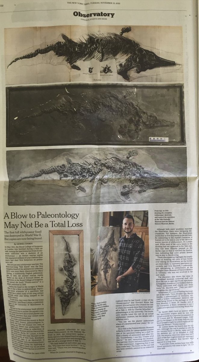 Pretty cool to learn that @gvconroy's @nytimes article about my paper on the rediscovery of two 'Proteo-saurus' casts made the actual printed paper. Congrats again, Gemma! Getting my photo in the NY Times. Check.✅