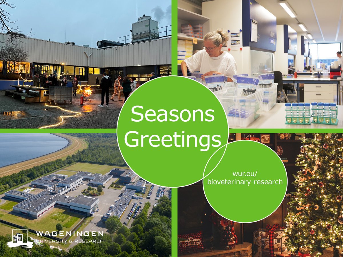 WURbvr's tweet photo. 🎄✨ From all of us at Wageningen Bioveterinary Research, we wish you a happy and healthy holiday season! ✨🎄 https://t.co/sxqDZkPPeY