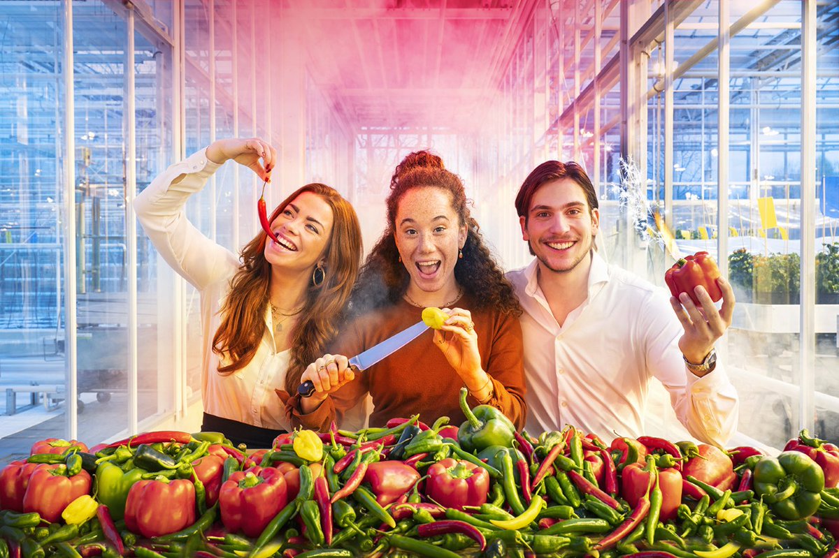 HAS FOOD EXPERIENCE | 31 januari 💥 En het thema is... We’re on fire! 🌶️ Studenten presenteren de food trends van de toekomst. Meld je snel aan om bij de editie van 2023 te zijn! 👉  bit.ly/3WhLIMb